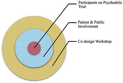 Co-design of Guidance for Patient and Public Involvement in Psychedelic Research